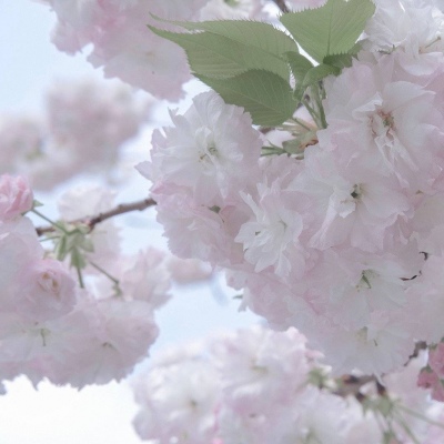 兽设梦幻风格创作Furry群